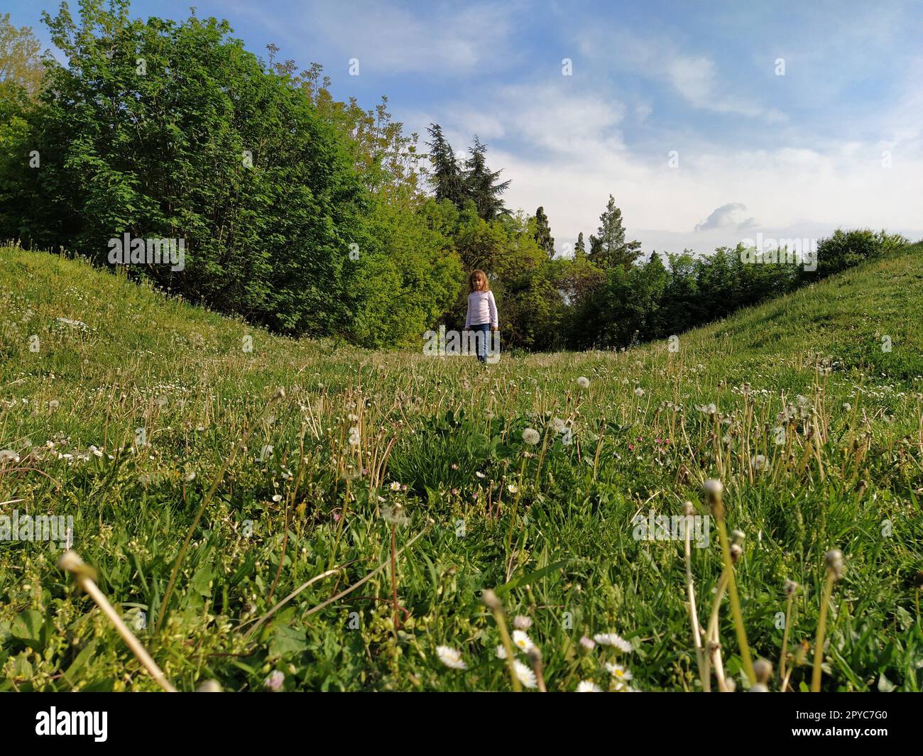 La ragazza corre attraverso il campo con erba verde tagliata. il bambino è vestito con una camicetta bianca e jeans blu. Sera d'estate. Divertimento per bambini. Ragazza con lunghi capelli biondi Foto Stock