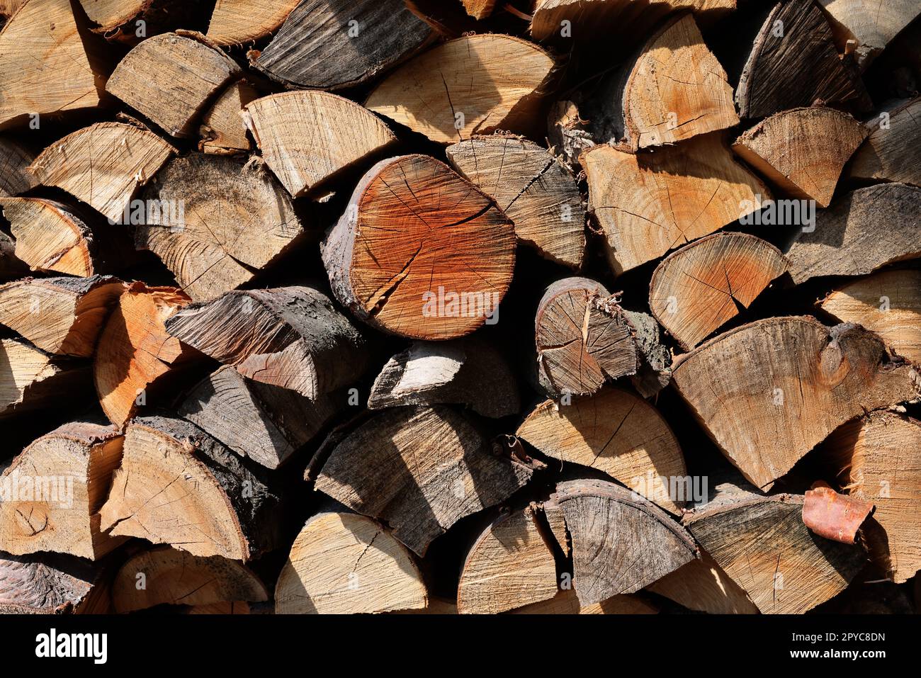 Catasta di legna da ardere preparato per l'inverno Foto Stock