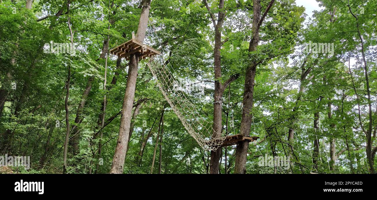 Go Ape Adventure. Situato in parchi nazionali e strutture ricreative locali, strutture in legno e corda per il movimento. Foto Stock