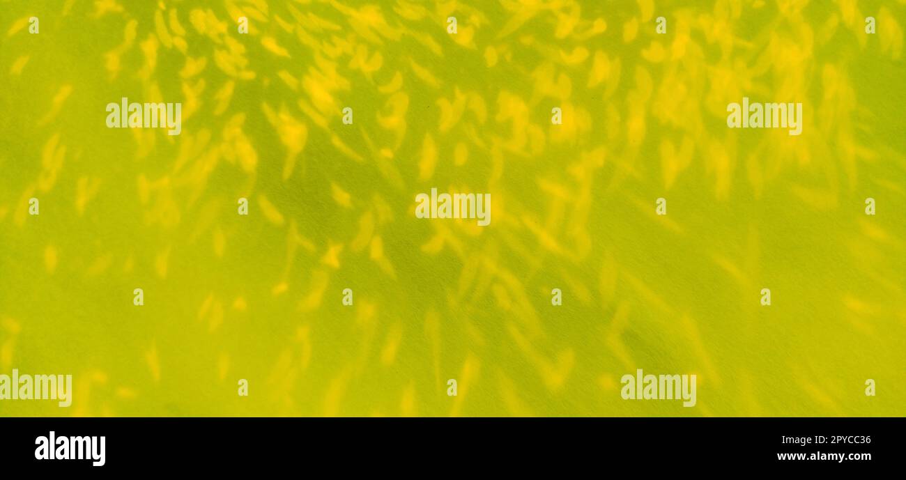 sfondo colorato in giallo e verde, effetto bokeh Foto Stock