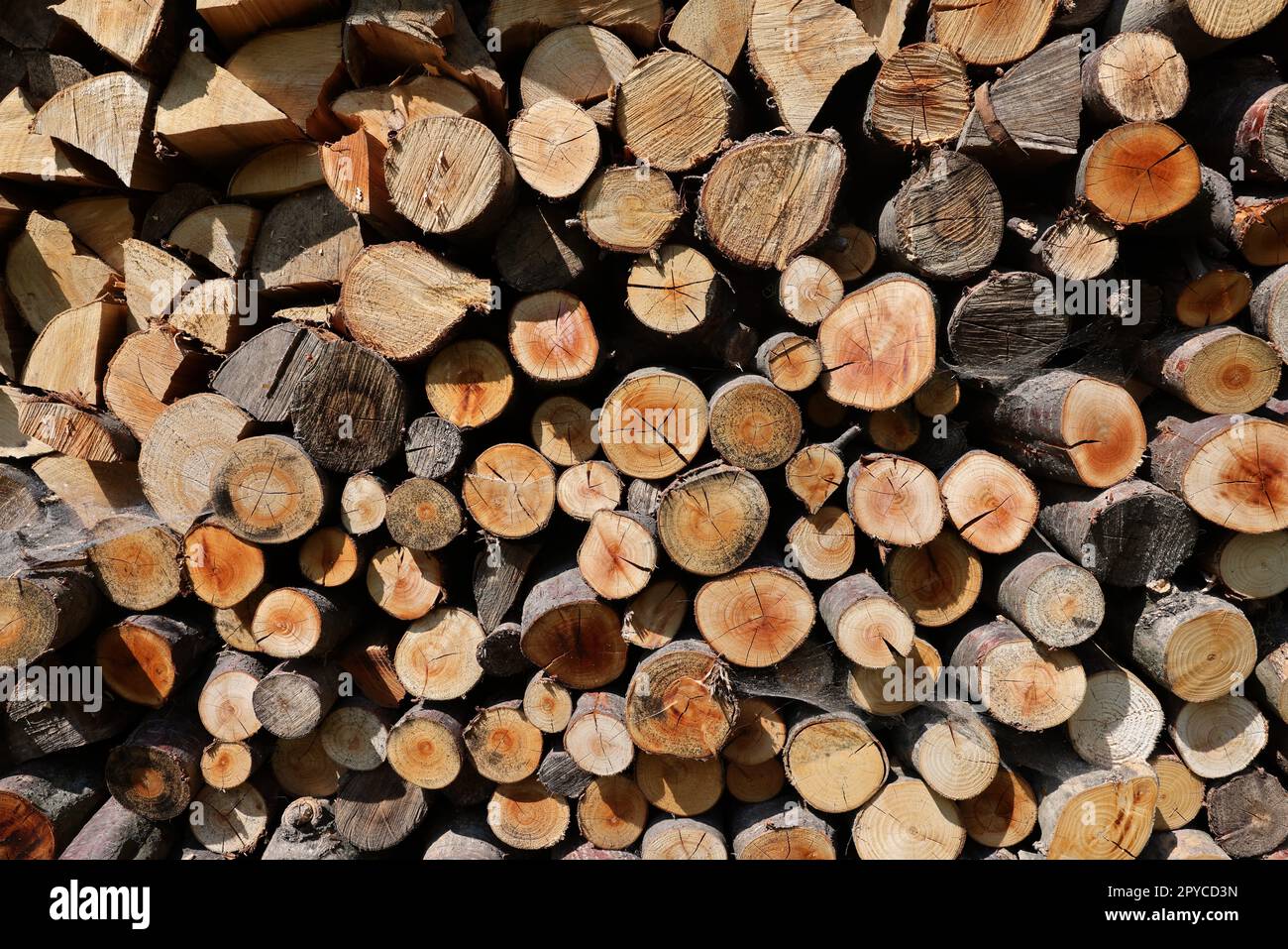 Catasta di legna da ardere preparato per l'inverno Foto Stock