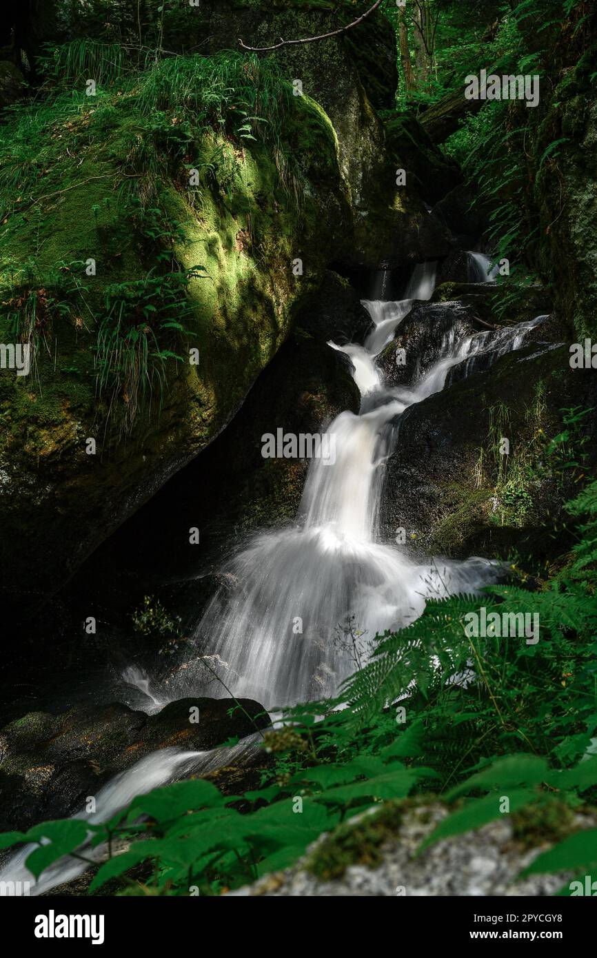 Camminando lungo il fiume d'Austria Foto Stock