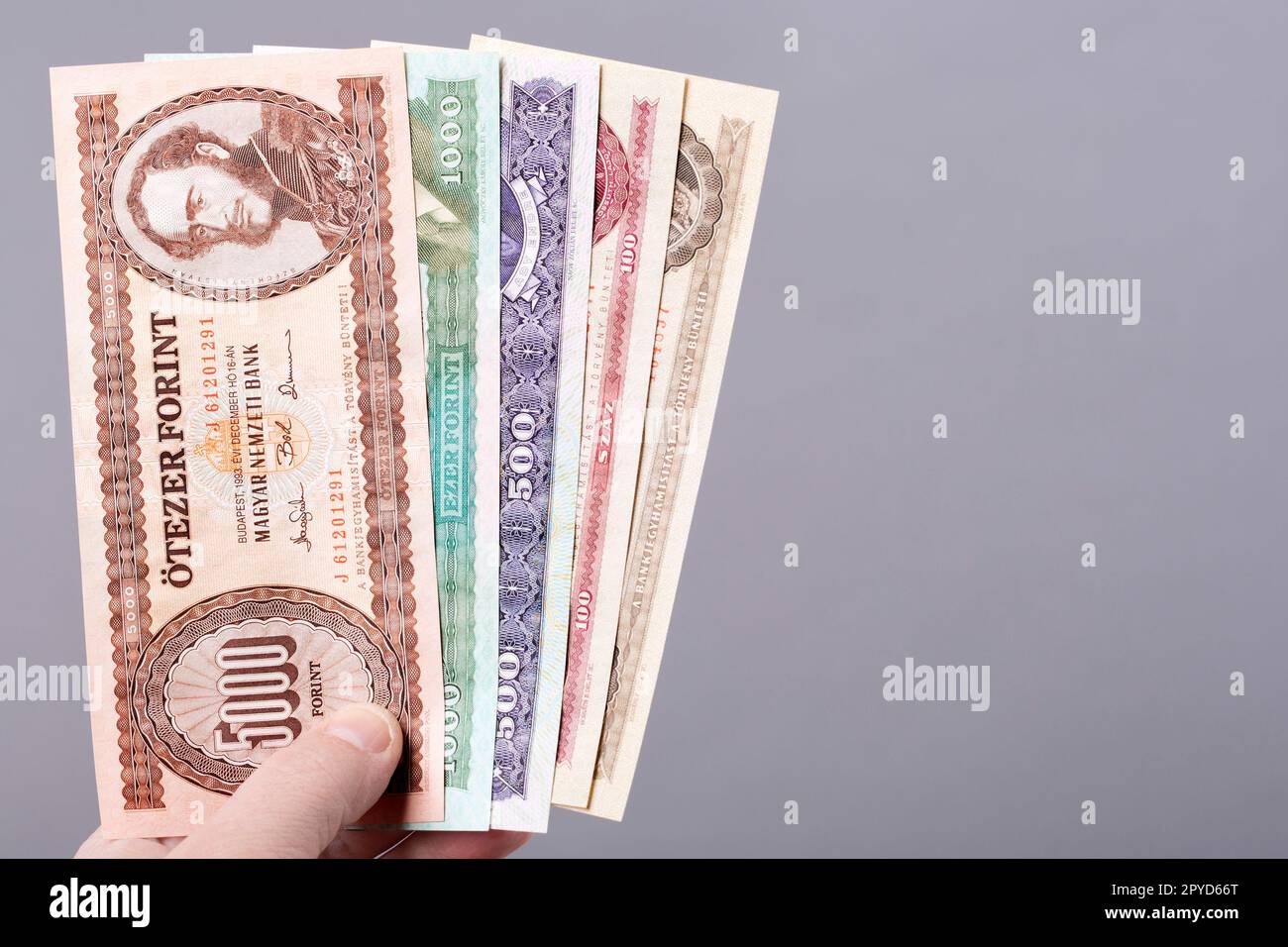 Vecchi soldi ungheresi su sfondo grigio Foto Stock