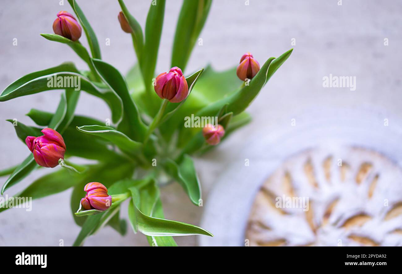 Un bouquet di fiori di tulipani in primo piano e una torta dolce fatta in casa sullo sfondo. Un regalo per la giornata delle mamme o delle donne. Colazione la mattina presto. Foto di alta qualità. Foto Stock