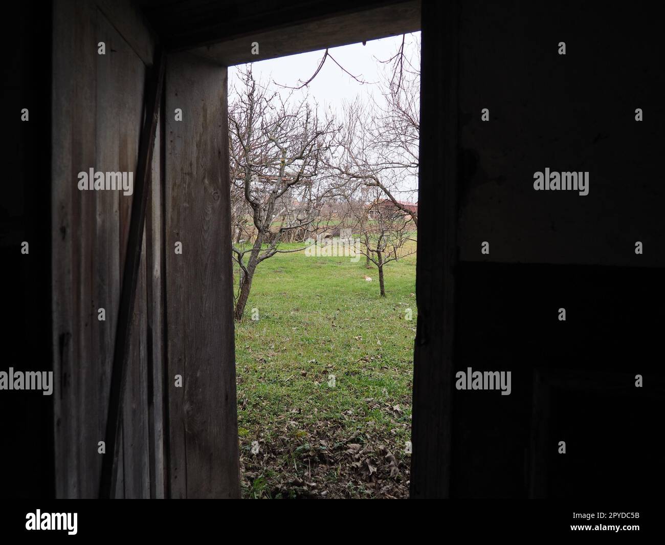 vecchia porta aperta in legno. Porte per culla, stalla per bestiame o garage. Travi in legno e portone. Verde primaverile dalla porta. Porta all'ignoto Foto Stock