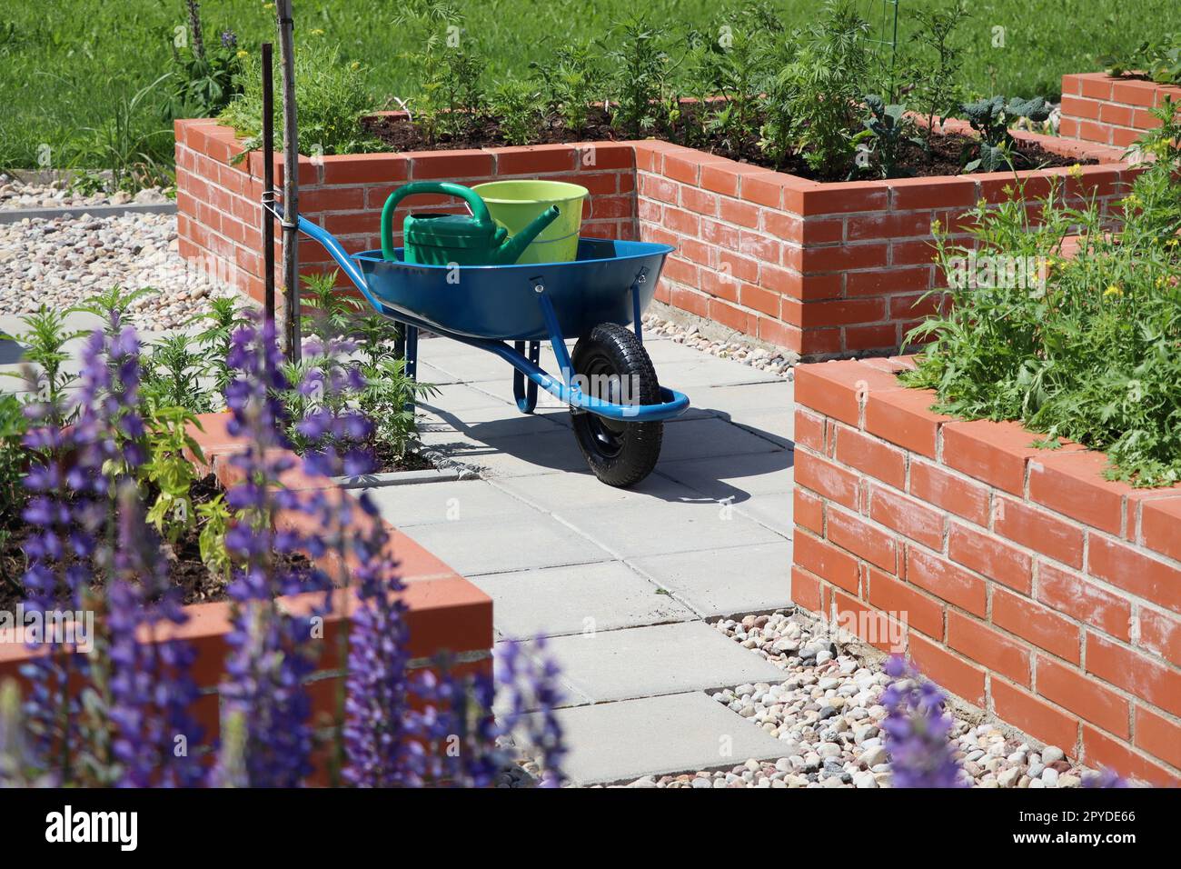 Sfondo primaverile. Un moderno orto con letti rialzati. Letti rialzati giardinaggio in un giardino urbano Foto Stock