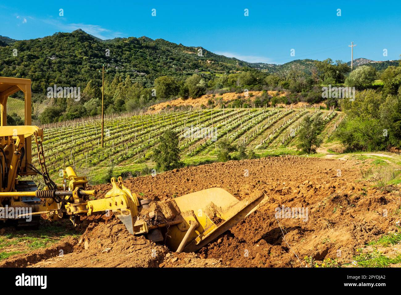 L'agricoltore affina il terreno con il trattore cingolato. Agricoltura. Foto Stock