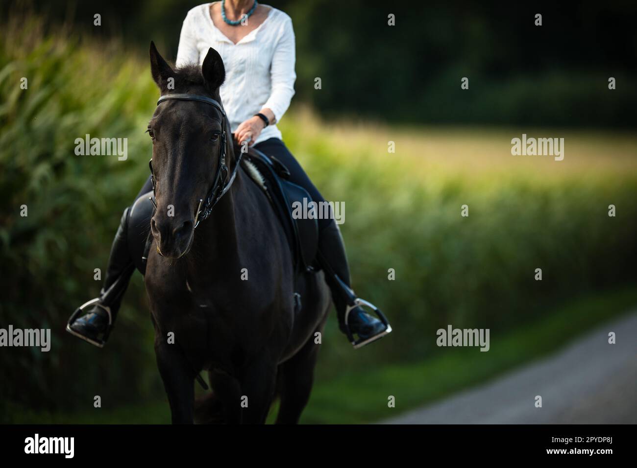 Donna a cavallo. Sport equestri, concetto di equitazione Foto Stock