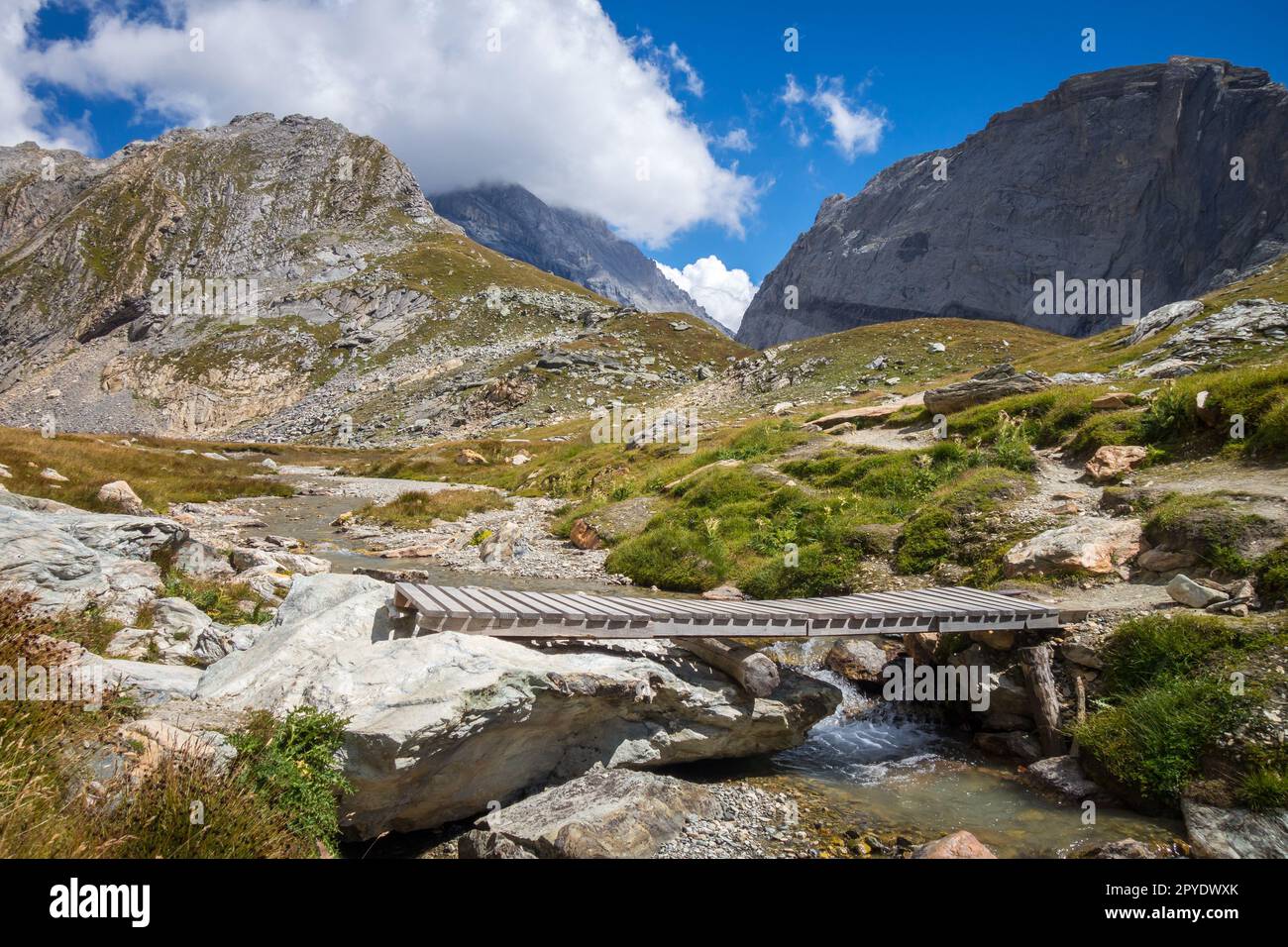 Fiume di montagna e ponte di legno nella valle del Parco Nazionale della Vanoise, alpi francesi Foto Stock