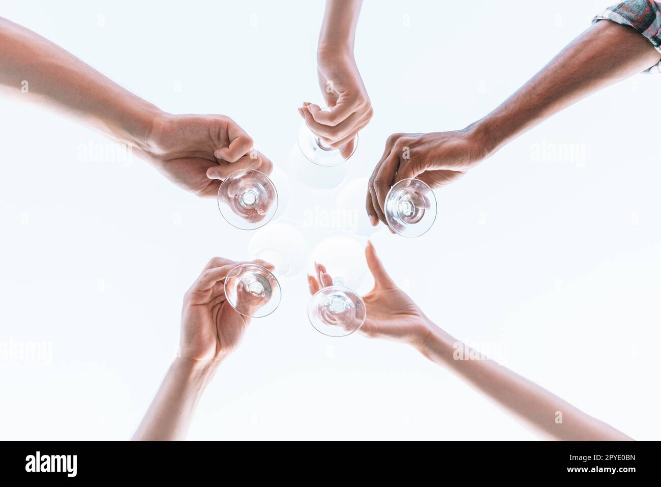 Gli amici hanno un pic-nic e brindisi con vino Foto Stock