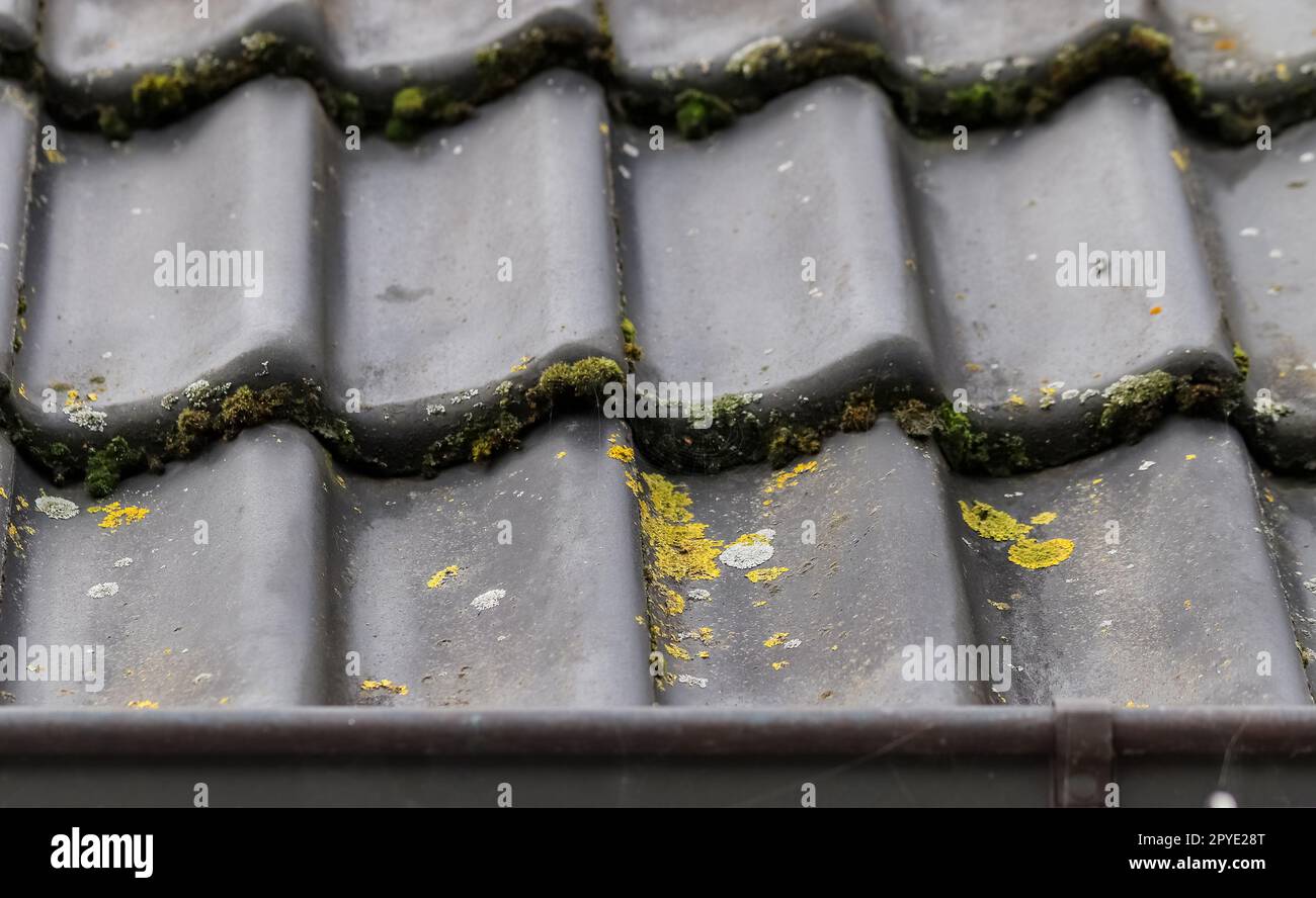 Primo piano di molte tegole nere sul tetto di un edificio residenziale. Foto Stock