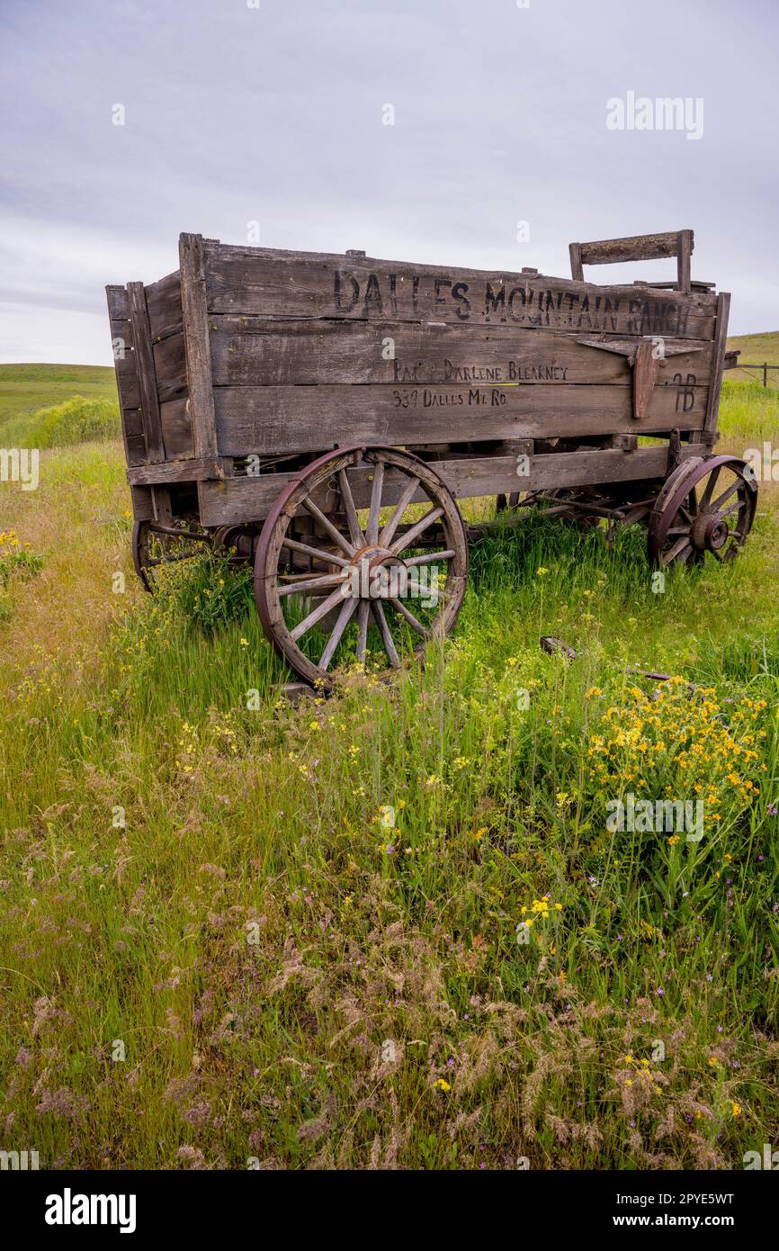 Un vecchio carro di legno presso lo storico Dalles Mountain Ranch vicino a Lyle, nella contea di Klickitat, Washington, USA. Foto Stock