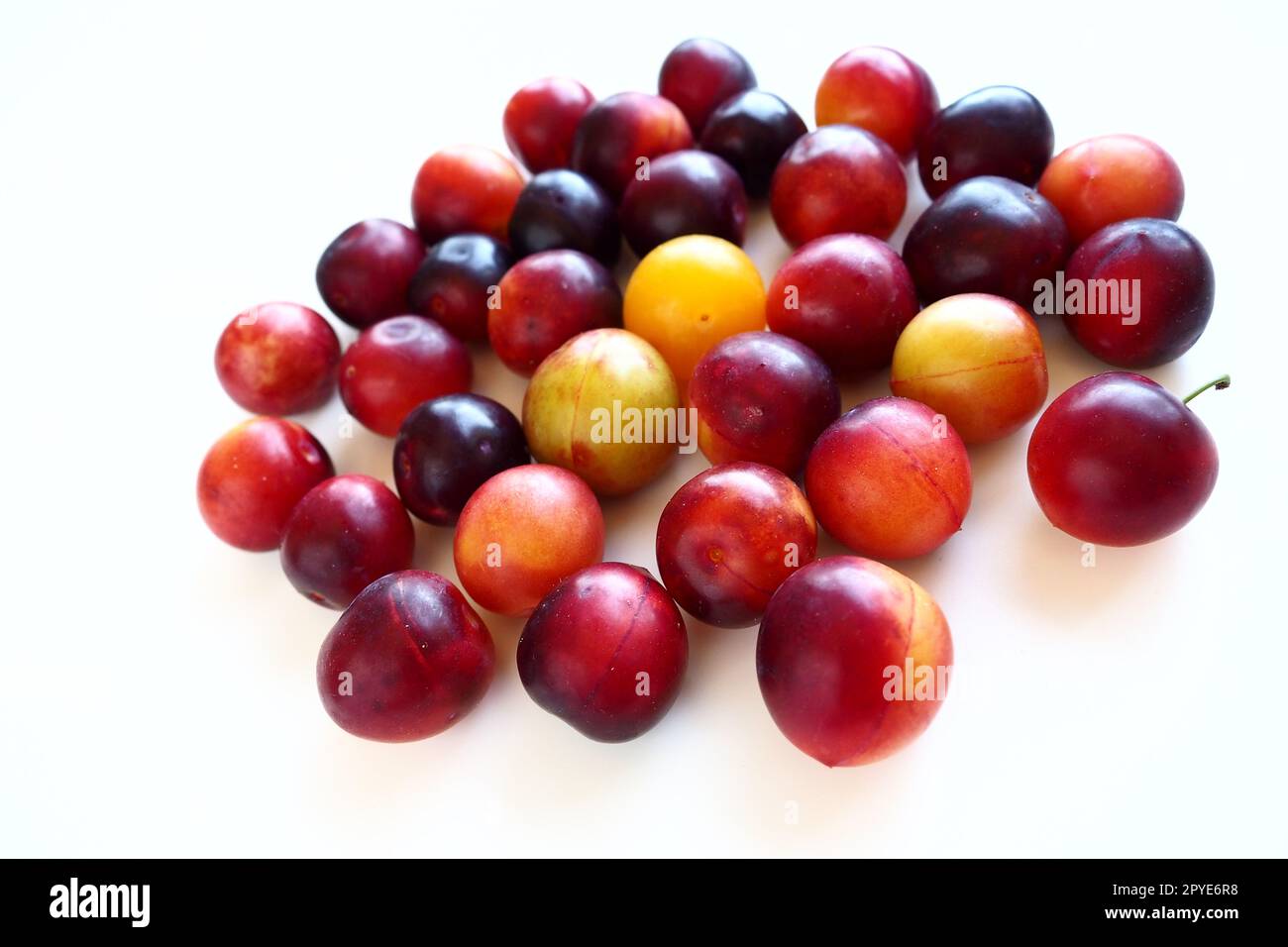 Prugna di ciliegio su sfondo bianco. Una miscela di prugne di ciliegio giallo-rosso appena rimossa da un albero. Deliziosi frutti di prugna freschi. Appetitosa prugna di ciliegio grande in vendita. Cibo su sfondo bianco Foto Stock