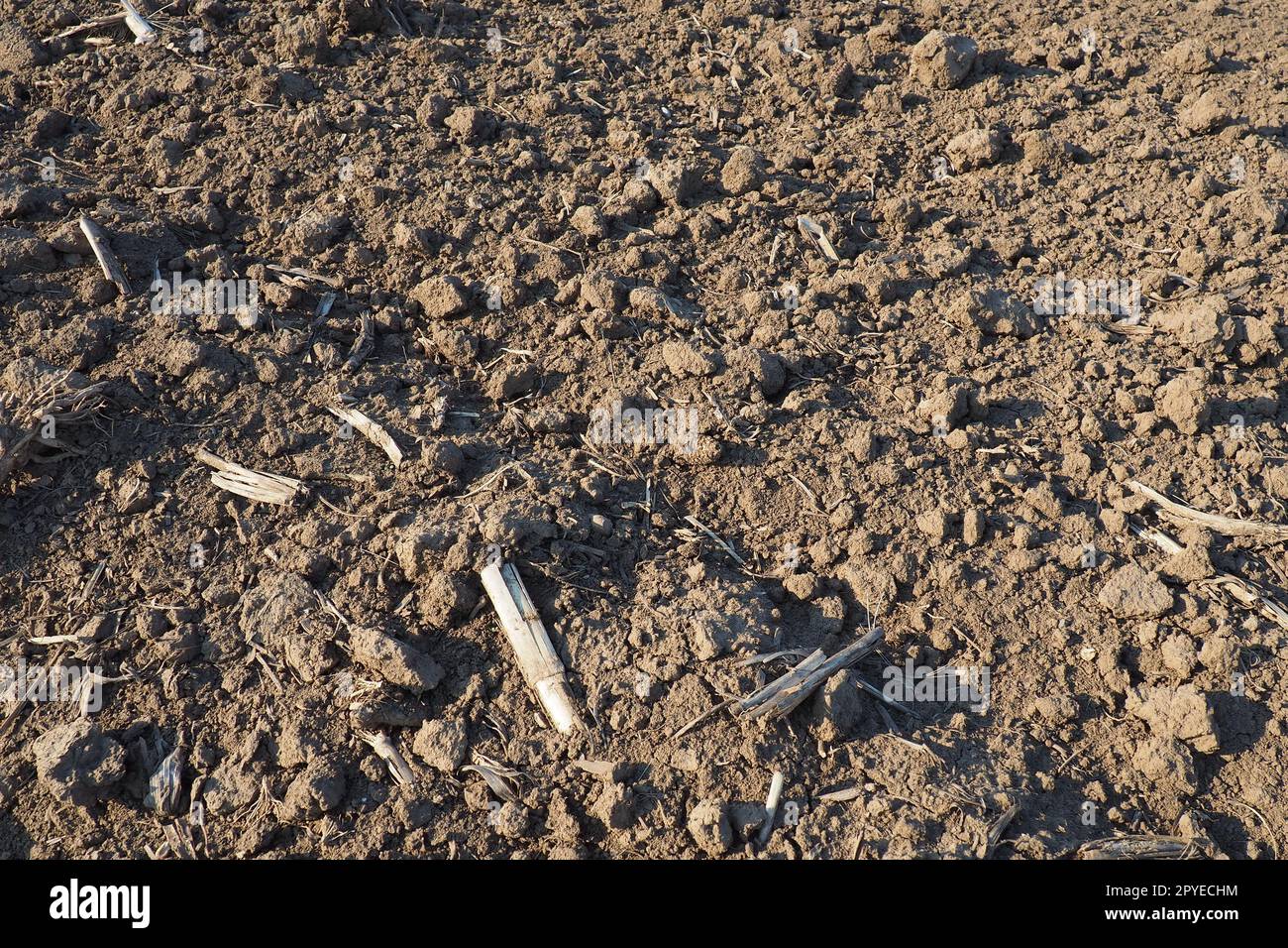 Campo coltivabile pronto per lavori agricoli primaverili. Terra nera arata. Farina di mais a terra. Terreno fertile per la semina. I fertilizzanti sono la chiave per un buon raccolto. Lavori agricoli Foto Stock