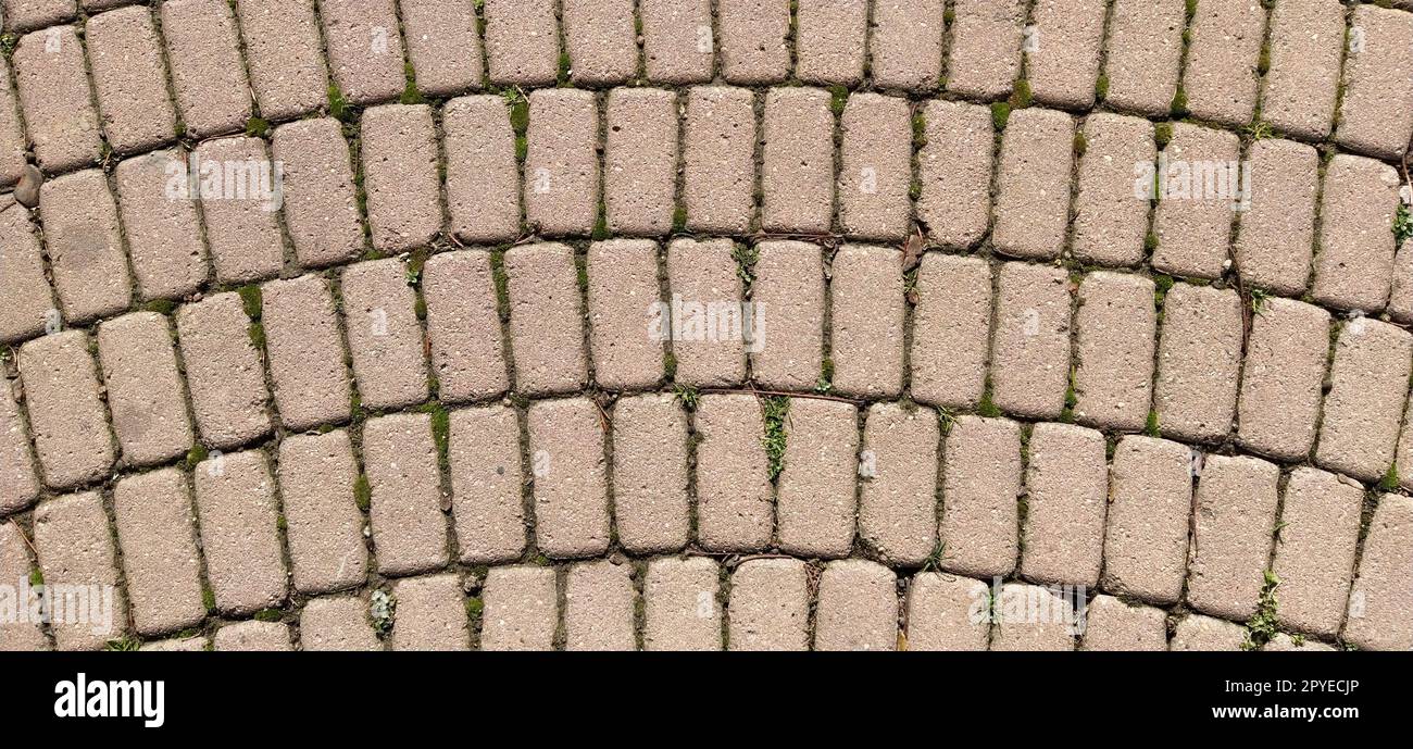 Strada acciottolata della città vecchia, fiancheggiata da piastrelle di pietra quadrate e rettangolari in modo caotico. Tonalità e colori beige o giallo tenui. La consistenza della pietra. Ripetizione geometrica. Foto Stock