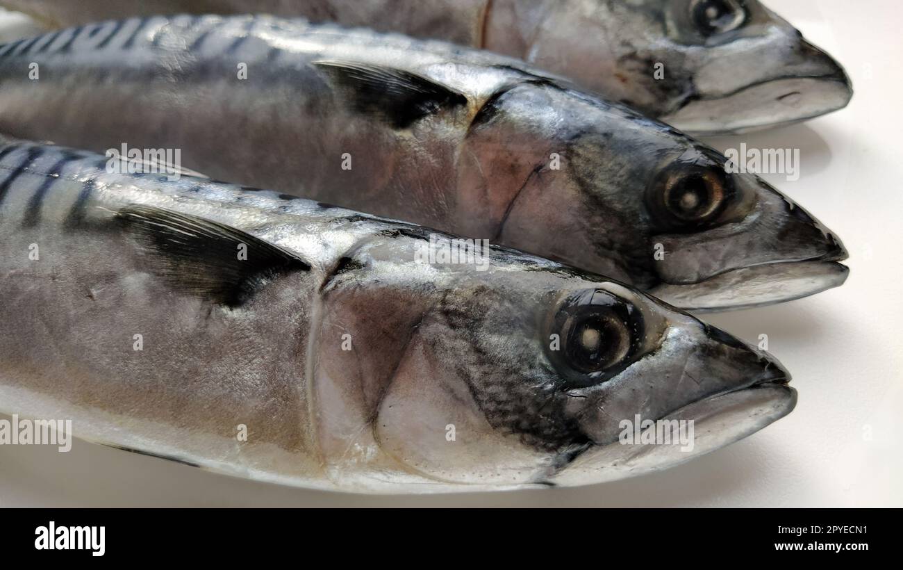 pesce fresco con la testa su uno sfondo chiaro. Tre pesci sono stati portati dal negozio e pronti per essere tagliati. Cibo di mare Foto Stock