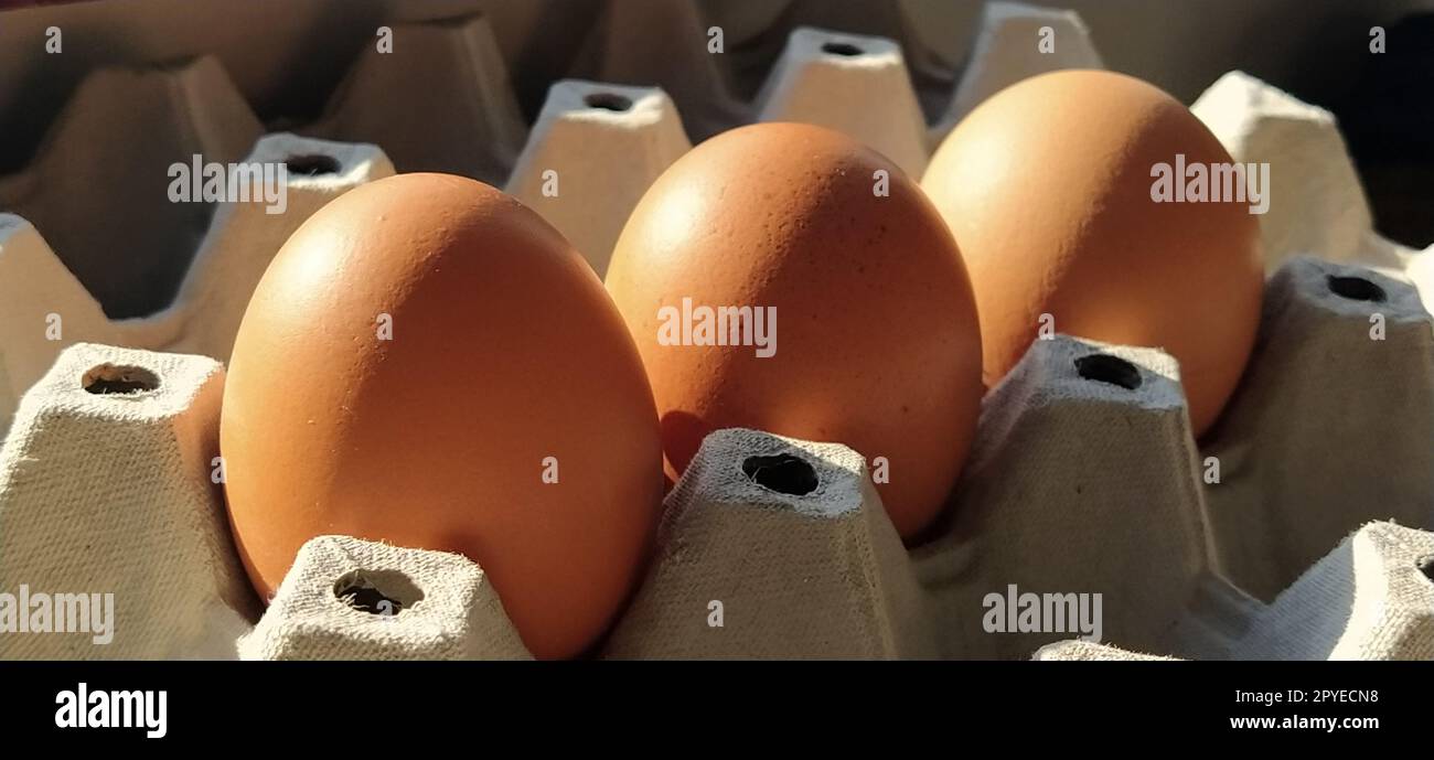 Uova di gallina in un cartone. Uova beige in un contenitore se illuminate dalla luce solare primaverile. Ingredienti. Prodotti agricoli. Cibo agricolo. Una corretta alimentazione proteica. Confezione riciclata.concetto demografico. Foto Stock