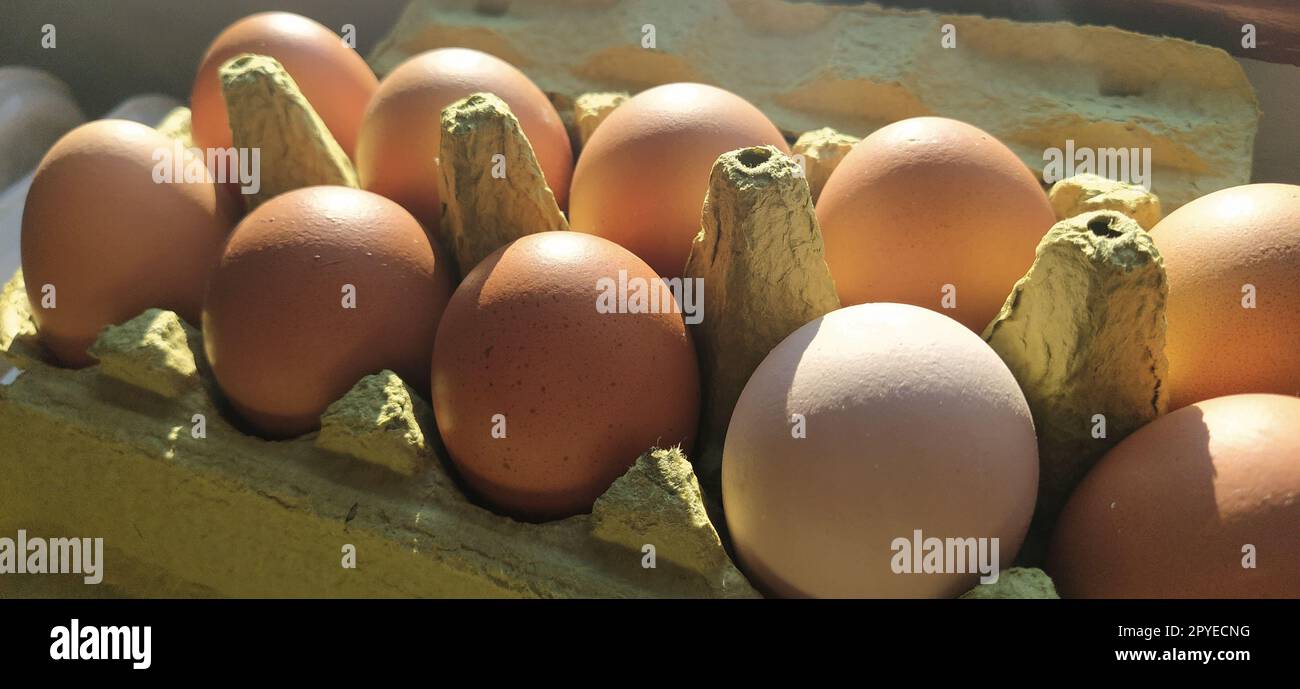 Uova di gallina in un cartone. Uova beige in un contenitore se illuminate dalla luce solare primaverile. Ingredienti. Prodotti agricoli. Cibo agricolo. Una corretta alimentazione proteica. Confezione riciclata.concetto demografico. Foto Stock