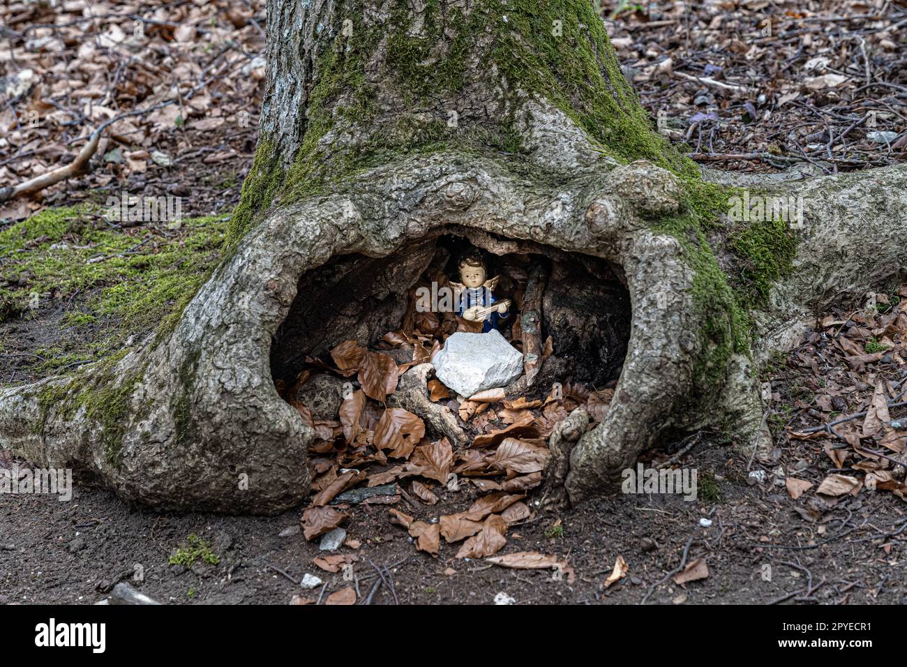 Piccolo angelo con una chitarra all'interno di un foro di un albero nel mezzo della foresta Foto Stock