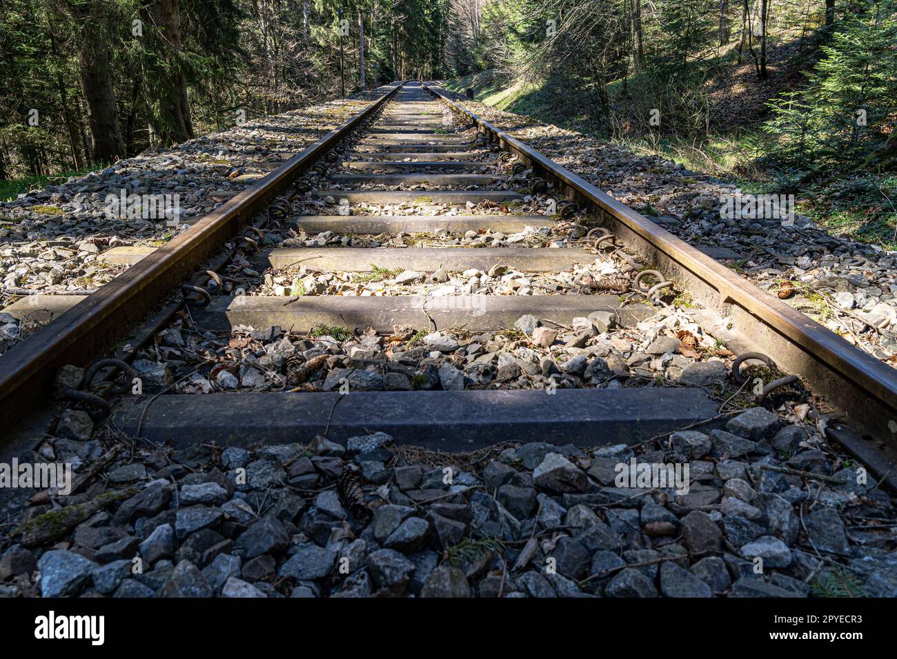 Vecchia e solitaria ferrovia attraverso la foresta verde Foto Stock