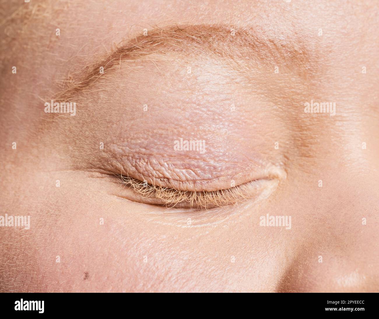 Albino donna, bellezza del viso e occhi chiusi per il benessere microblading, dermatologia della pelle o trucco cosmetico. Lusso, bagliore naturale della pelle e centro benessere, zoom facciale o sopracciglia pulite Foto Stock