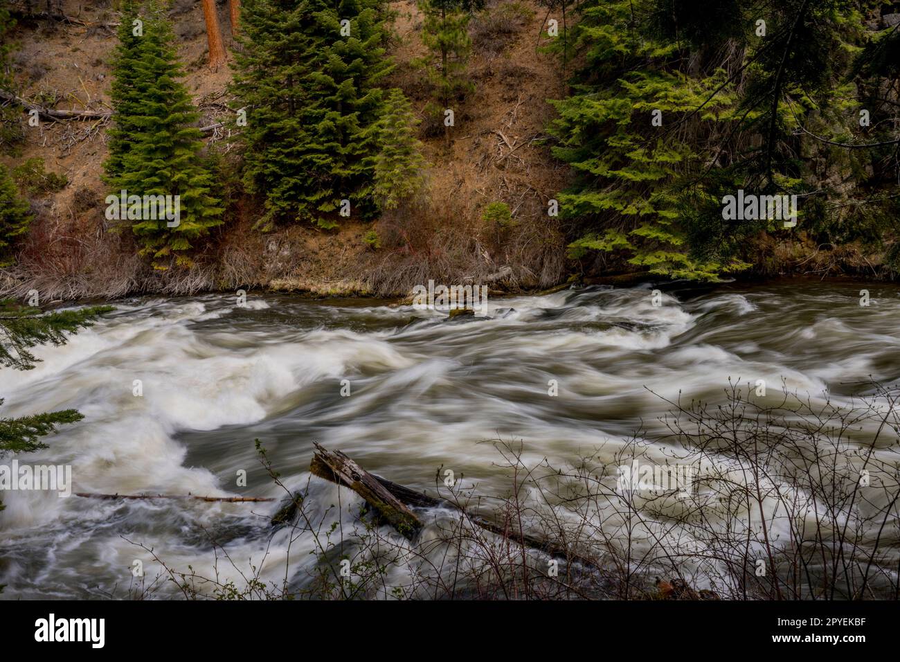 Vista delle rapide di Benham Falls sul fiume Deschutes, situato tra Sunriver e Bend, Oregon, Stati Uniti. Foto Stock