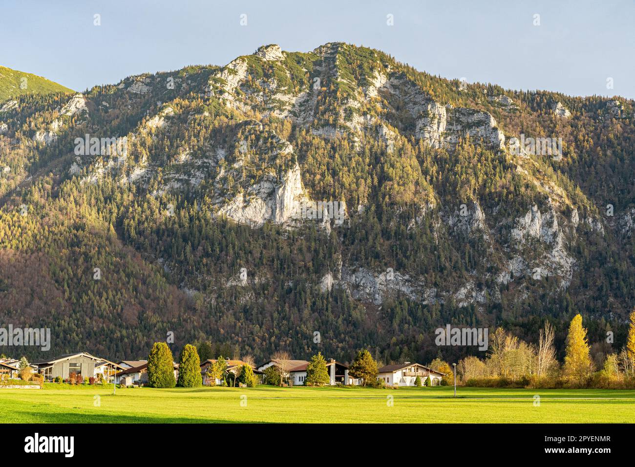 Catena montuosa massiccia, foresta e prati delle Alpi tedesche Foto Stock