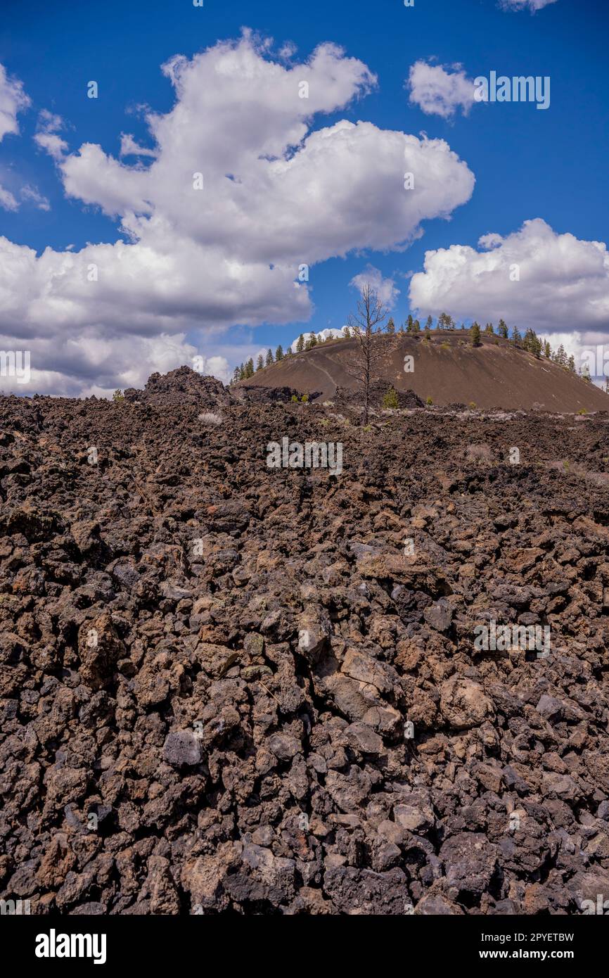 La lava scorre al Newberry National Volcanic Monument vicino a Bend, Oregon, Stati Uniti. Foto Stock