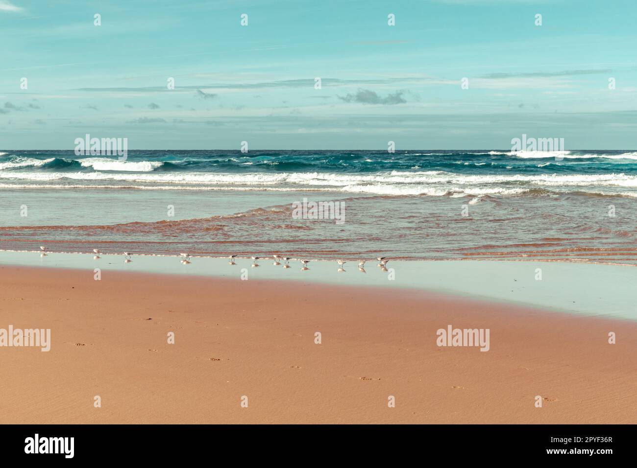 Mare della spiaggia di Bordeira nel Parco Naturale di Alentejo Sud-Ovest e Costa Vicentina Foto Stock