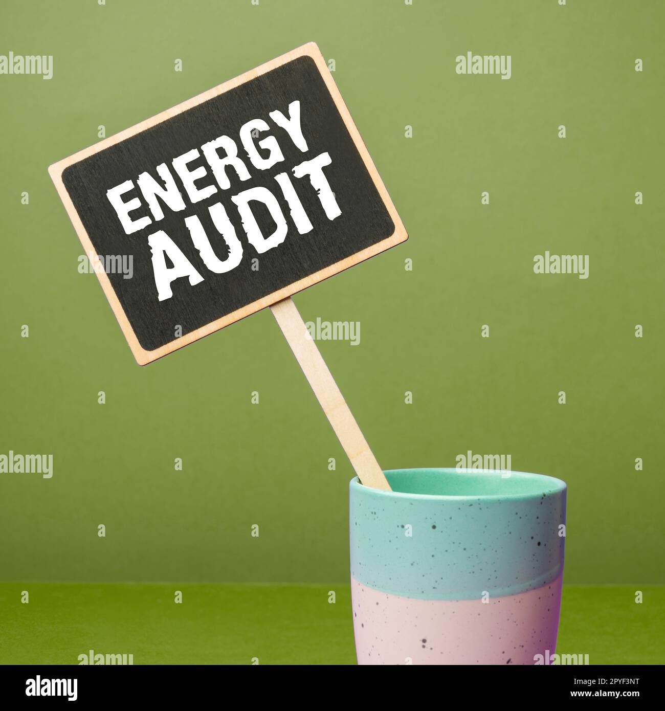 Scrittura del testo visualizzato Energy Audit. Valutazione dell'approccio aziendale del fabbisogno energetico e dell'efficienza di un edificio Foto Stock