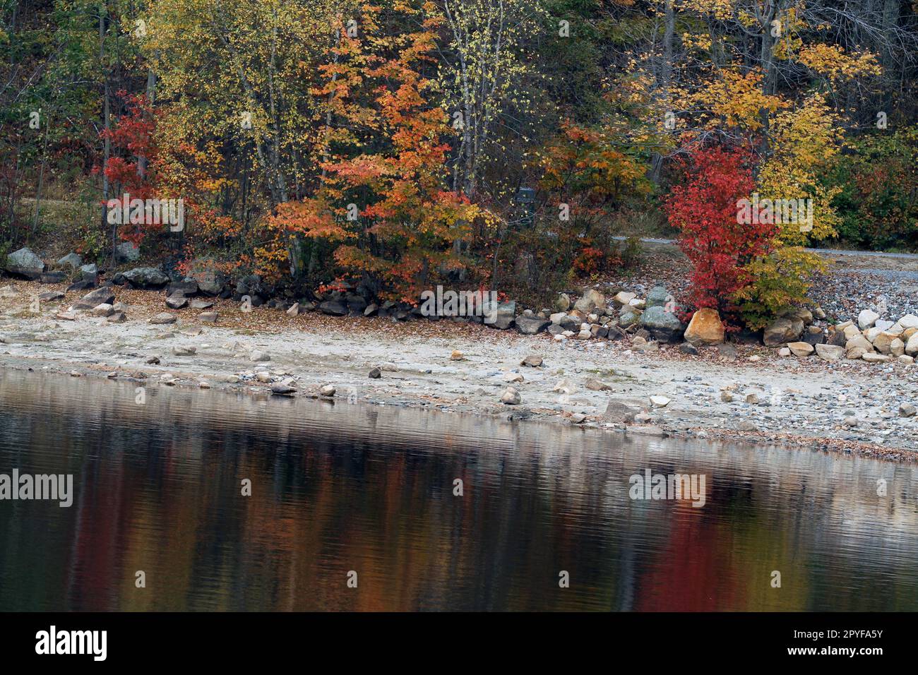 Autunno nel New England al parco statale Hopkinton, Hopkinton, Massachusetts Foto Stock