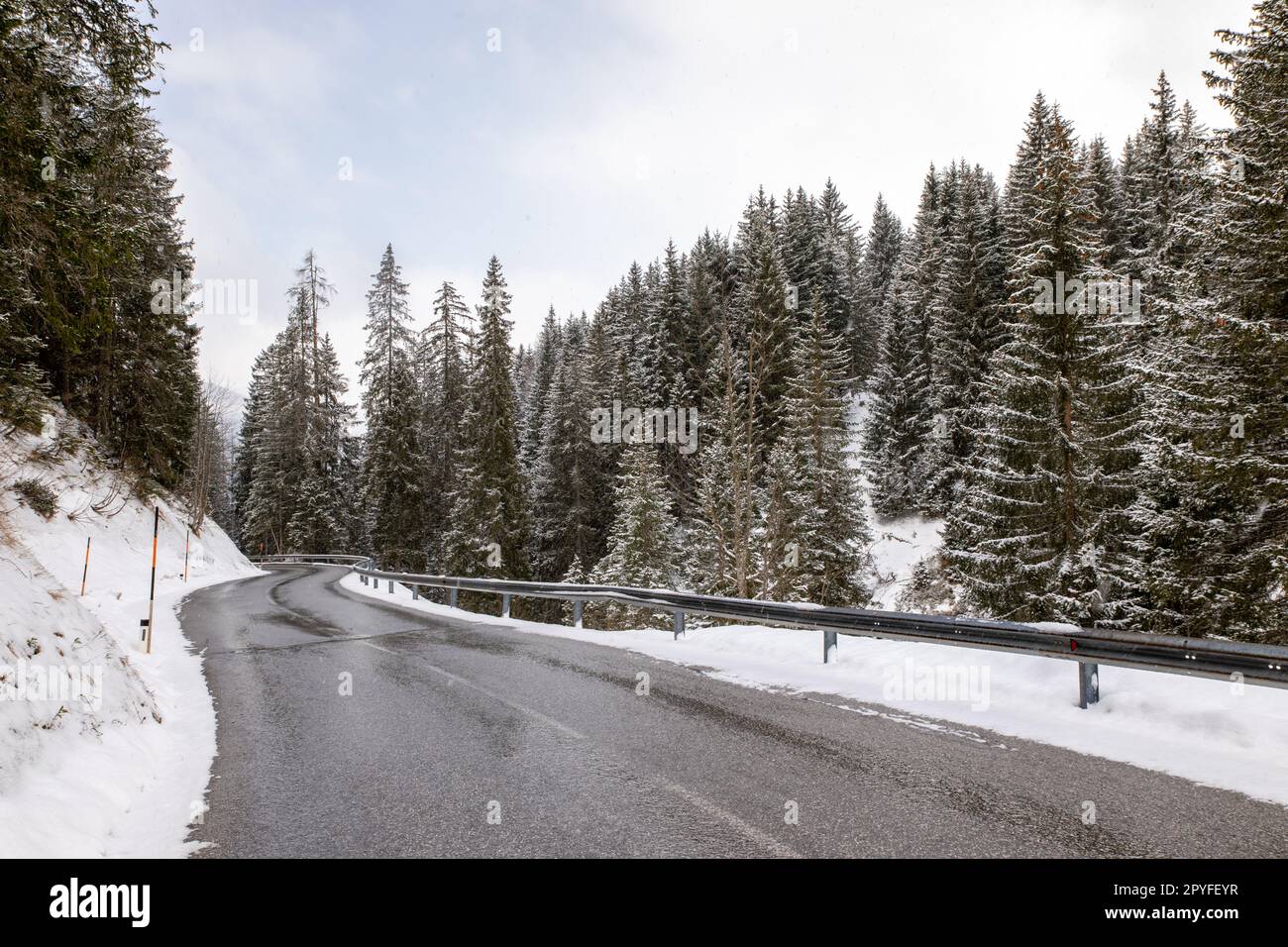 Tortuosa strada di montagna tra i pini della provincia di Mühlbach am Hochkönig, Salisburgo, nel distretto di Sankt Johann im Pongau, in Austria. Foto Stock