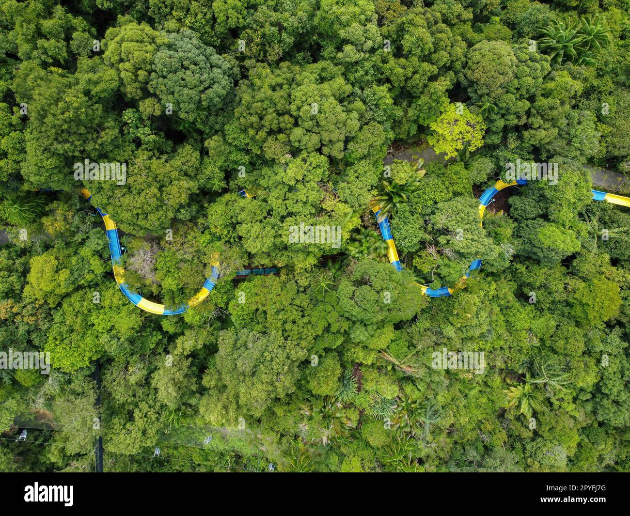 Vista aerea, guarda giù lo scivolo d'acqua nella foresta verde Foto Stock