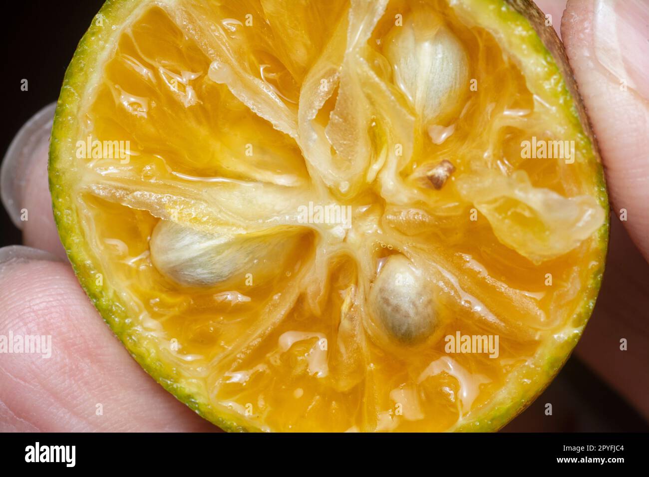 chiudi il colpo di carne di lime succosa a metà fettine. Foto Stock