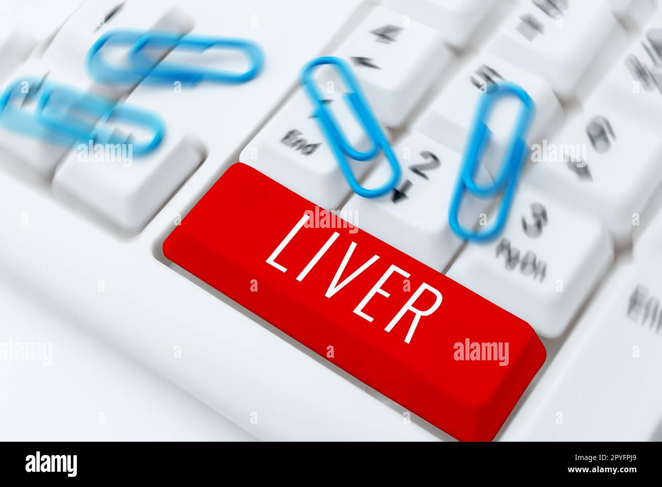 Scrittura visualizzazione testo Liver. Parola per l'organo ghiandolare lobato grande nell'addome dei vertebrati producono la bile Foto Stock