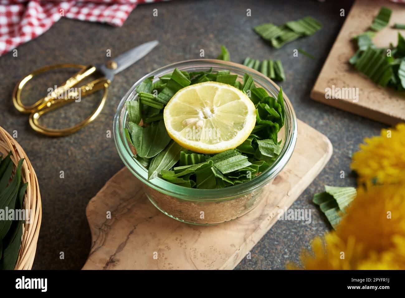 Preparazione di sciroppo di piantina di ribwort per tosse da foglie fresche, zucchero e limone Foto Stock