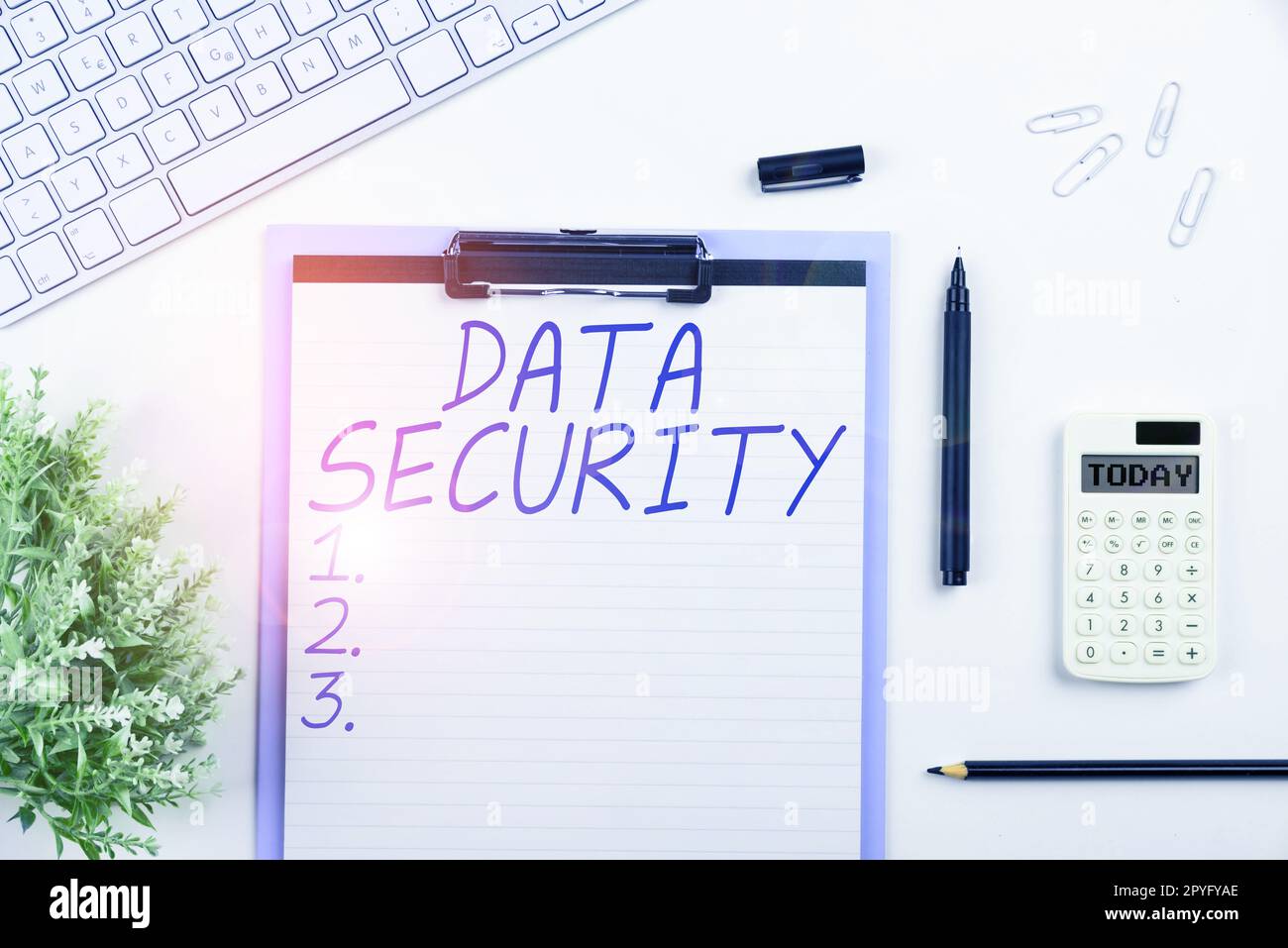 Simbolo di testo che mostra la sicurezza dei dati. Business Concept riservatezza crittografia disco Backup protezione password Foto Stock