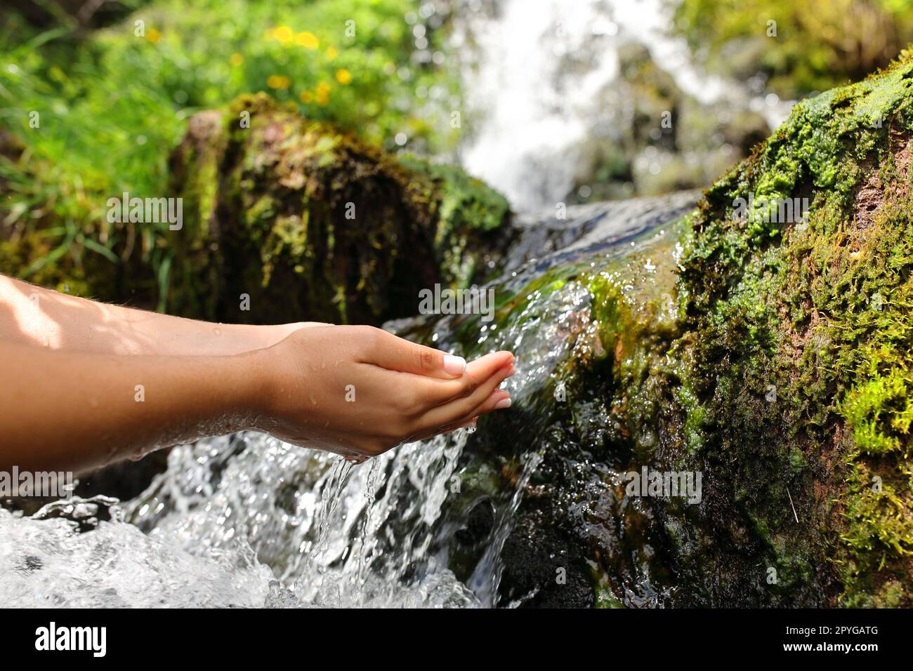 Le mani delle donne catturano l'acqua da creek Foto Stock