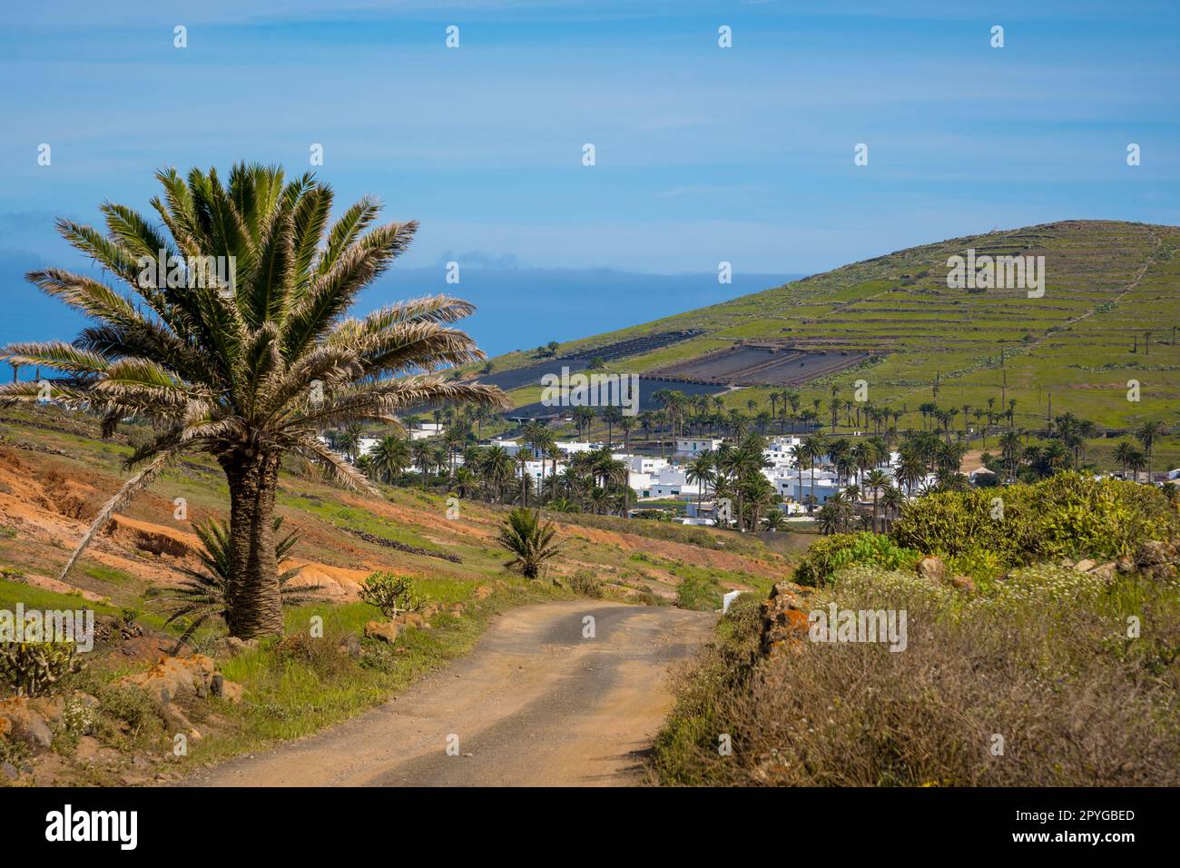 Vista su Haria su Lanzarote e sulla valle delle mille palme. Foto Stock