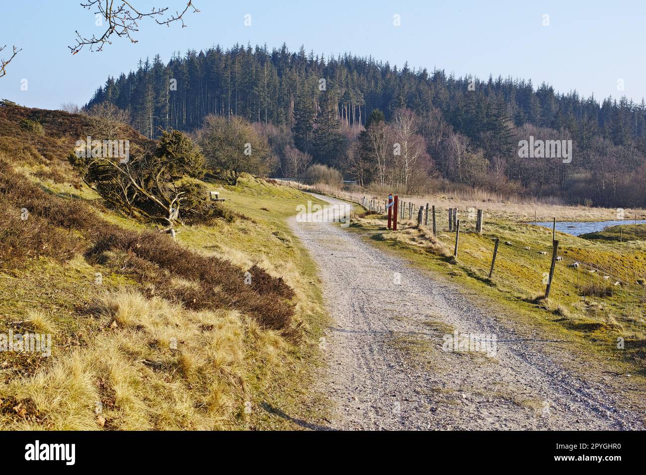 Lowland - Parco Nazionale di Rebild. Una strada sterrata attraverso il paesaggio brughiera Rebild National Park, Jutland, Danimarca. Foto Stock