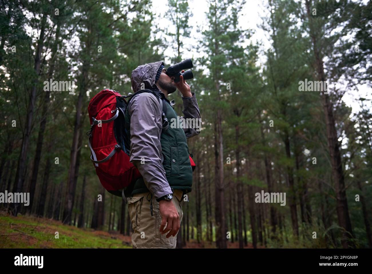 Cercando quell'esemplare raro. Bell'uomo che usa il suo binocolo per scannerizzare la foresta circostante per la vita degli uccelli. Foto Stock