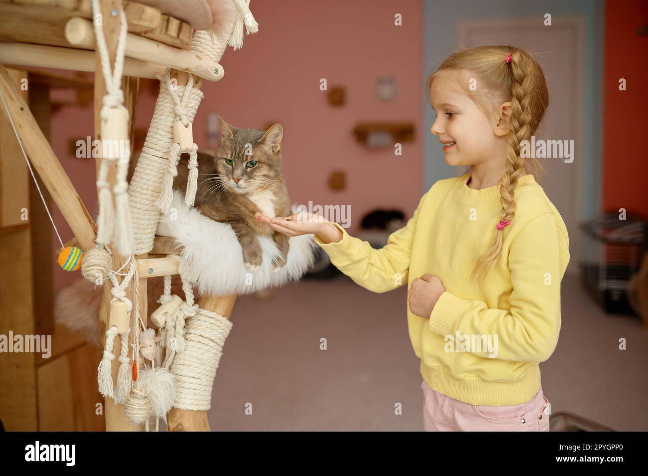 Felice bambina sorridente che mangia gatto in un rifugio per animali Foto Stock
