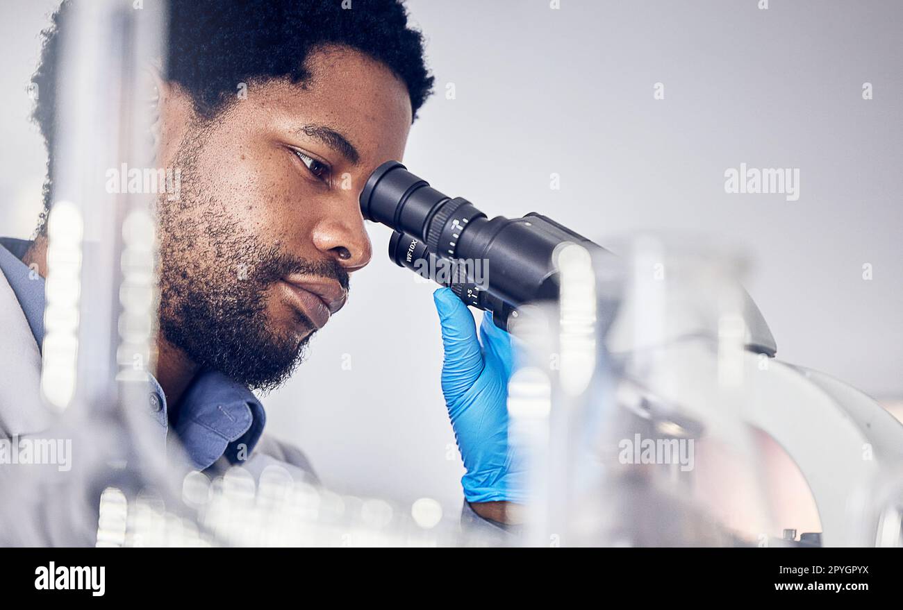 Uomo nero, scienziato e microscopio con ricerca scientifica in laboratorio, analisi dei dati ed esperto con innovazione scientifica o medica. Dottore di ricerca, viso e biotecnologia, chimica e studio in laboratorio Foto Stock