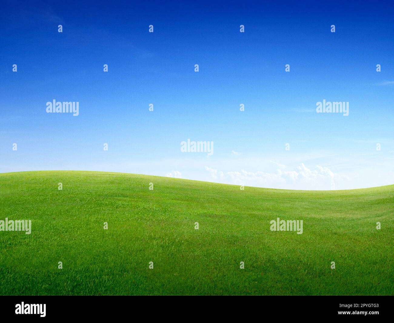 verde prato verde e cielo blu brillante Foto Stock