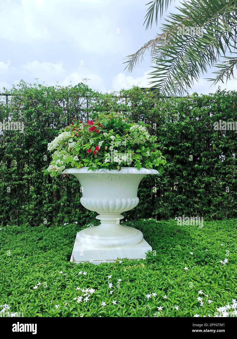 Vaso ornamentale in stile fiore romano nel giardino Foto Stock