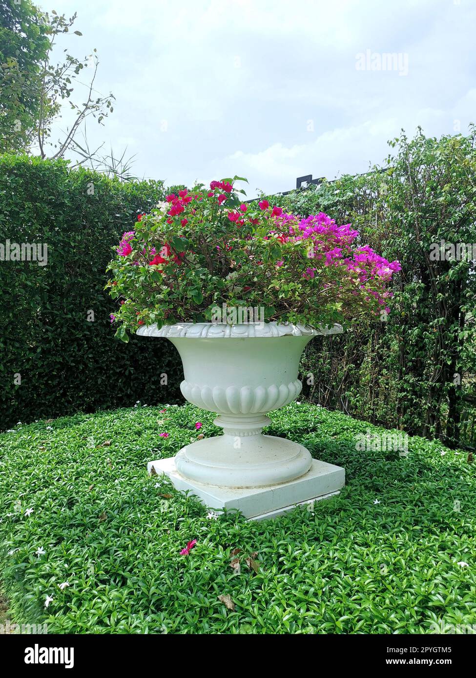 Vaso ornamentale in stile fiore romano nel giardino Foto Stock