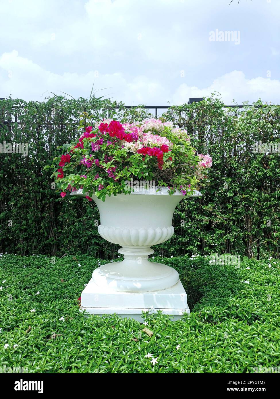 Vaso ornamentale in stile fiore romano nel giardino Foto Stock
