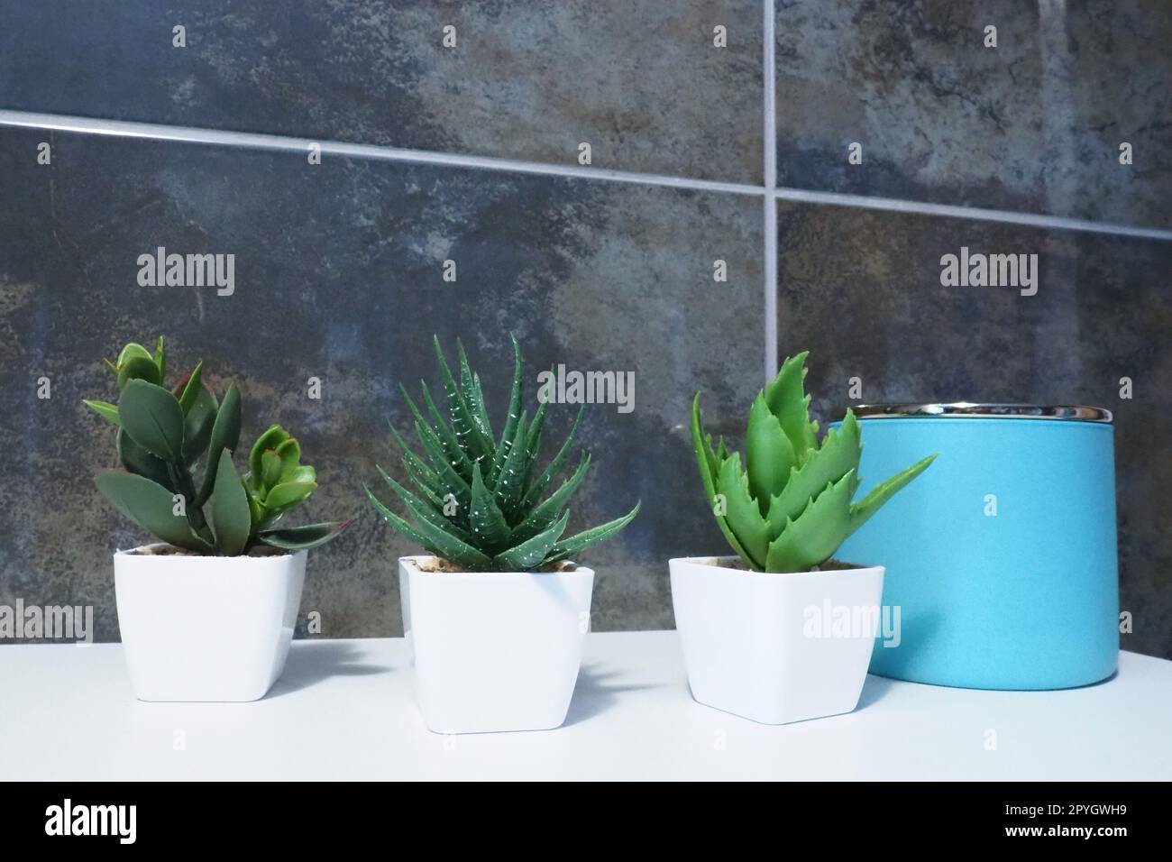 Vasi per piante artificiali immagini e fotografie stock ad alta risoluzione  - Alamy