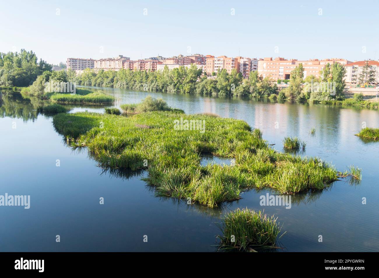 Il fiume Tormes e la città di Salamanca alle spalle (Spagna) Foto Stock