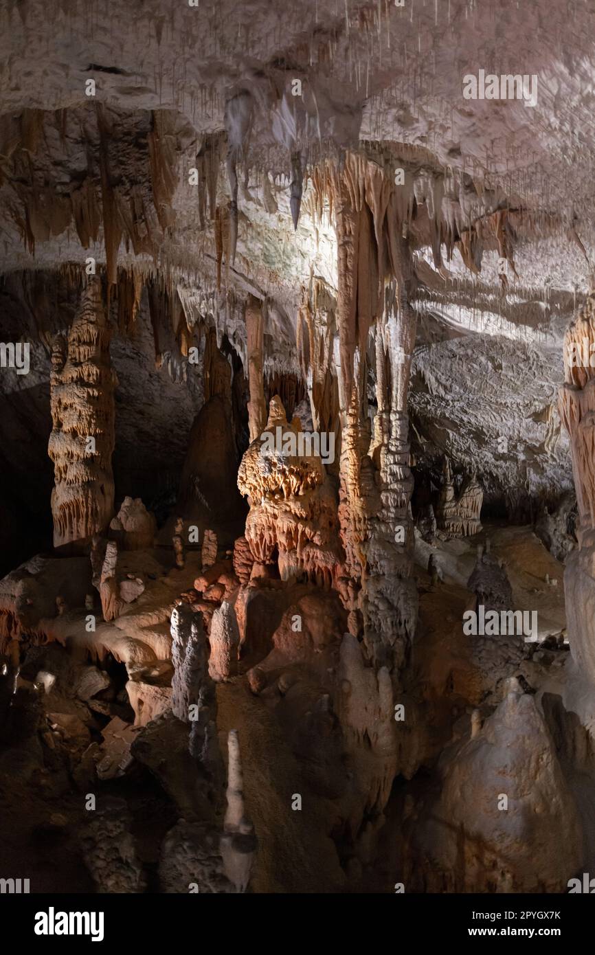 Vista interna della grotta di Postumia Foto Stock